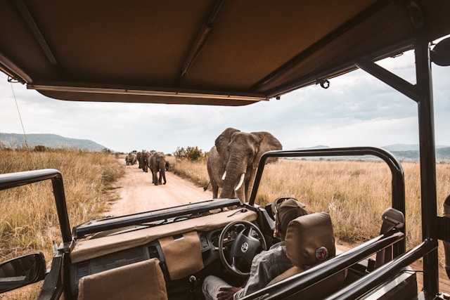 Namibie en 4x4